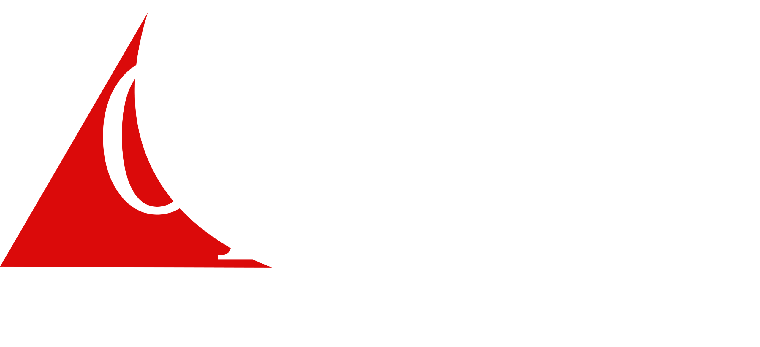 Logo Opus 15 Anos - branca