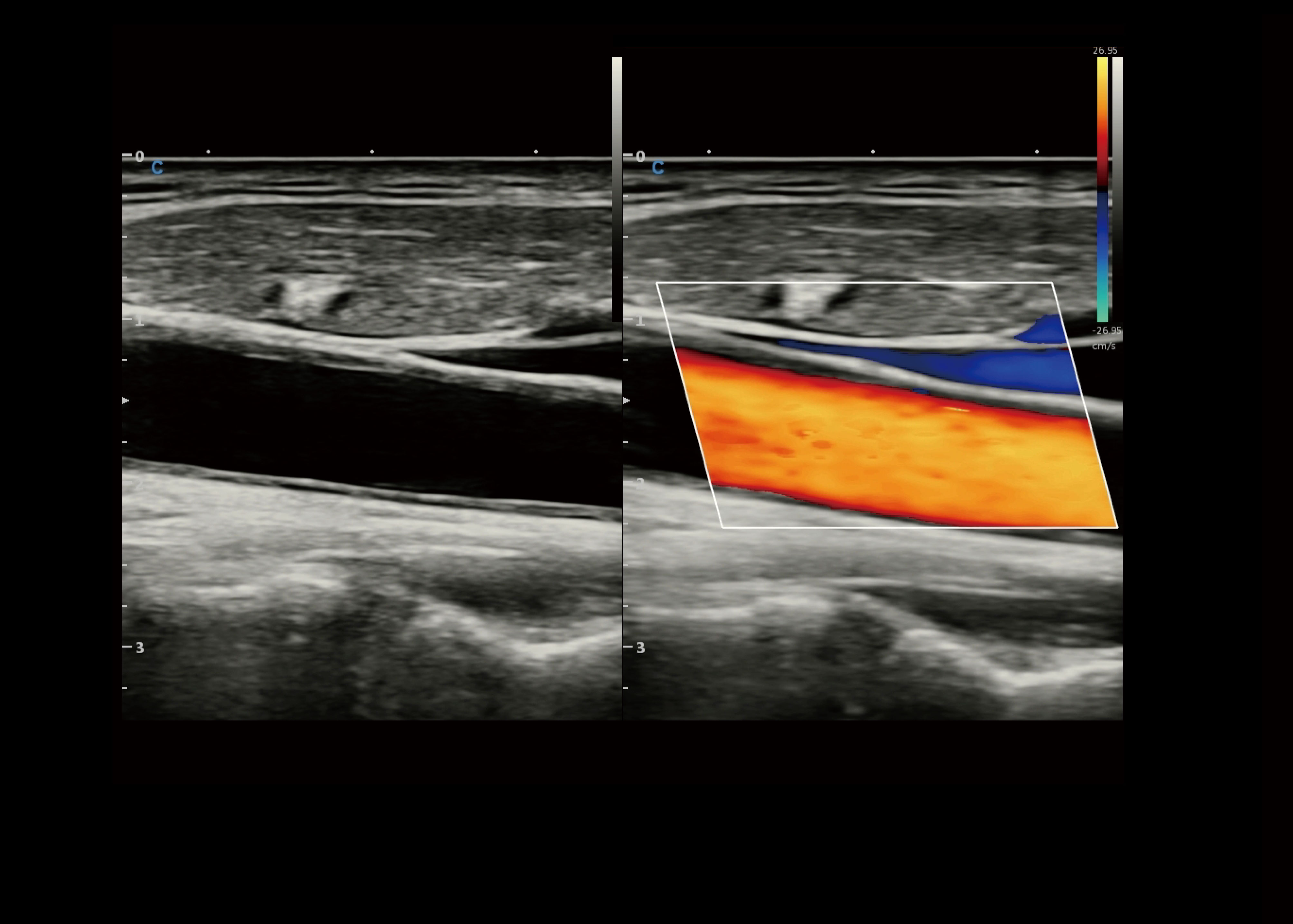 Cbit10 imagens clinicas-1