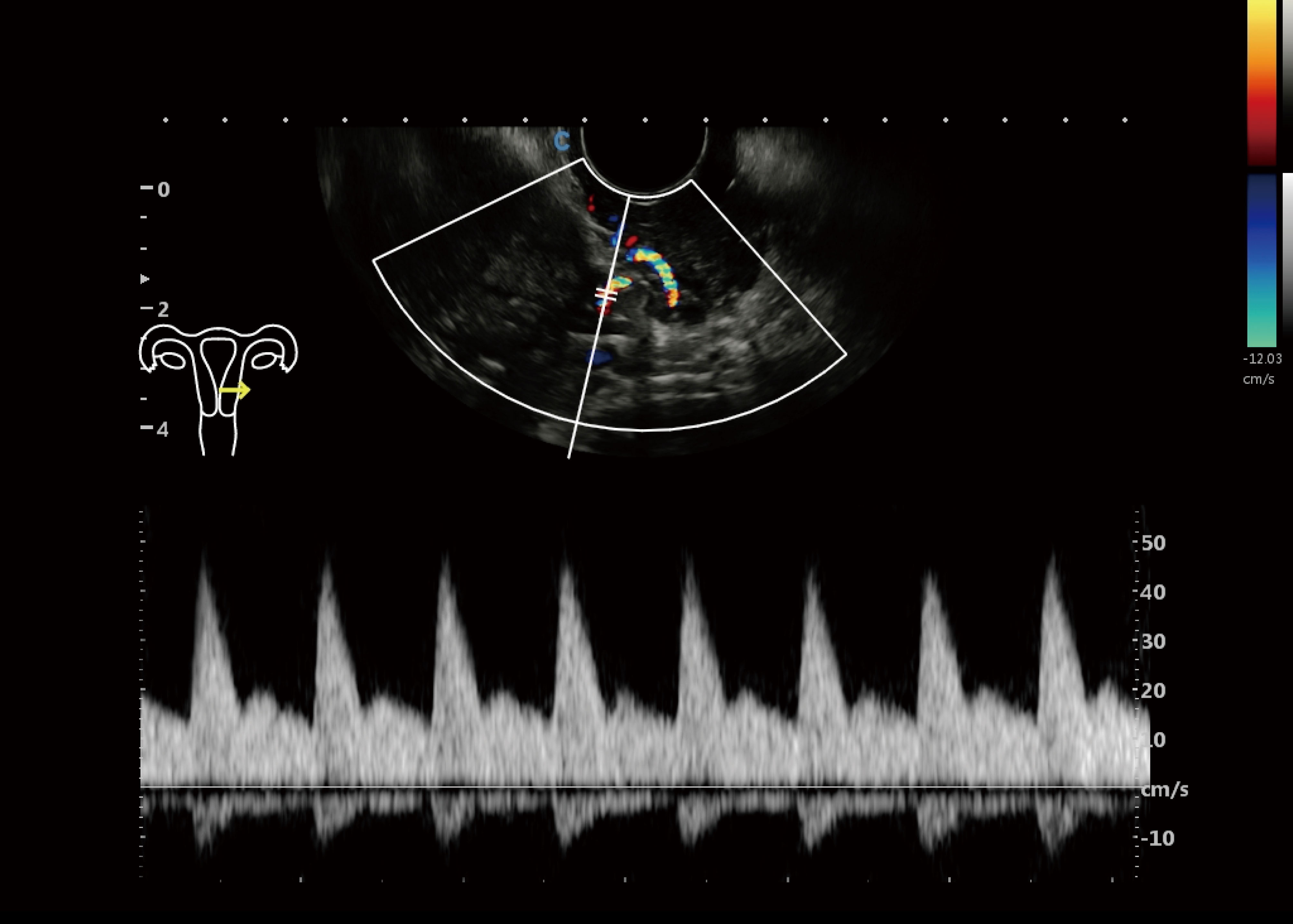 Cbit10 imagens clinicas-4