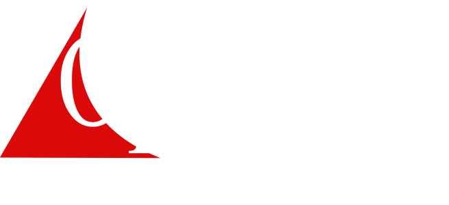 Logo Opus 15 Anos - branca