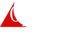 Logo Opus 15 Anos - branca